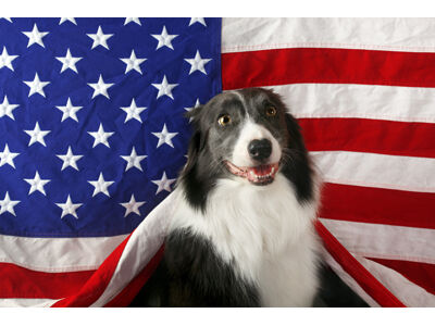 Raise the Flag